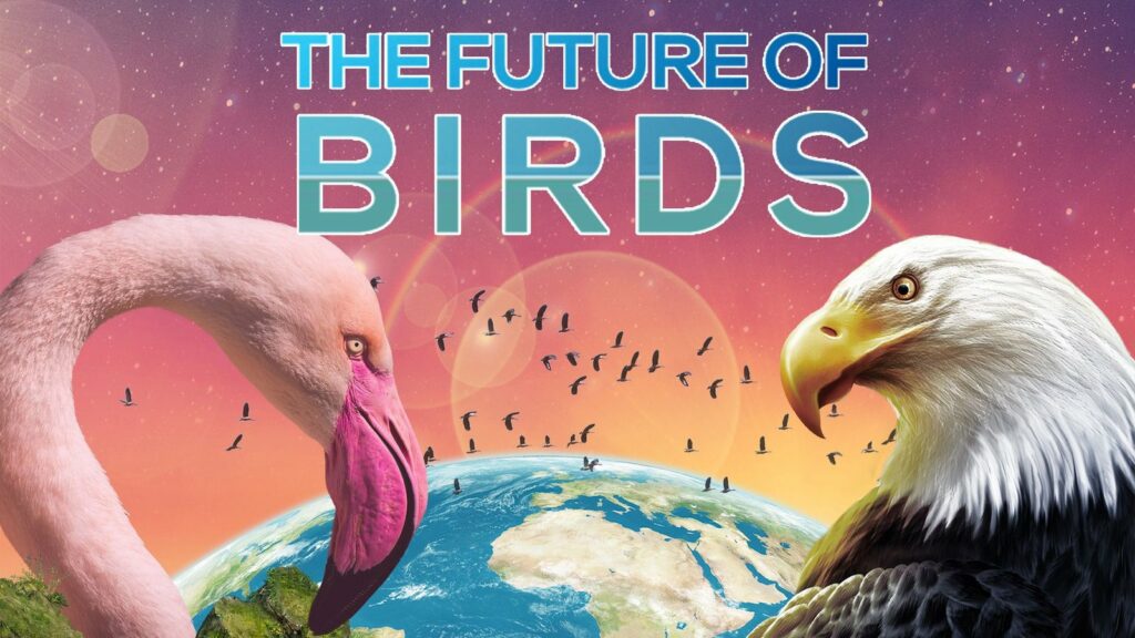 This image has an empty alt attribute; its file name is Future-of-Birds-1024x576.jpeg
